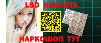 винт Донецк