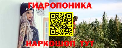 гашик Донской