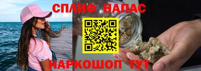 гашик Донской