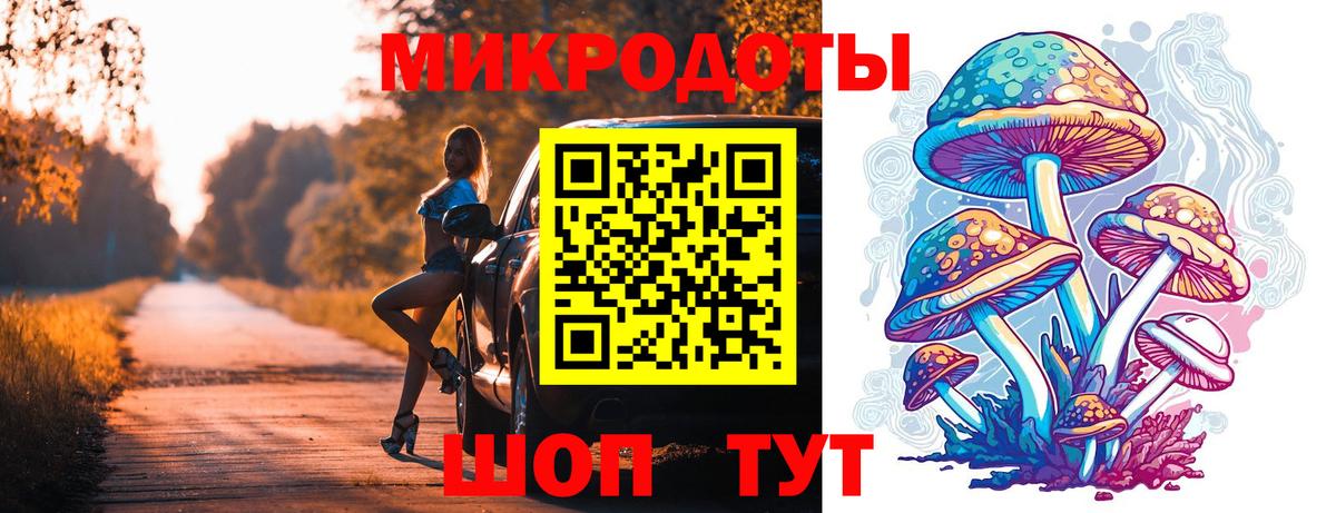 Галлюциногенные грибы Psilocybine cubensis Одинцово