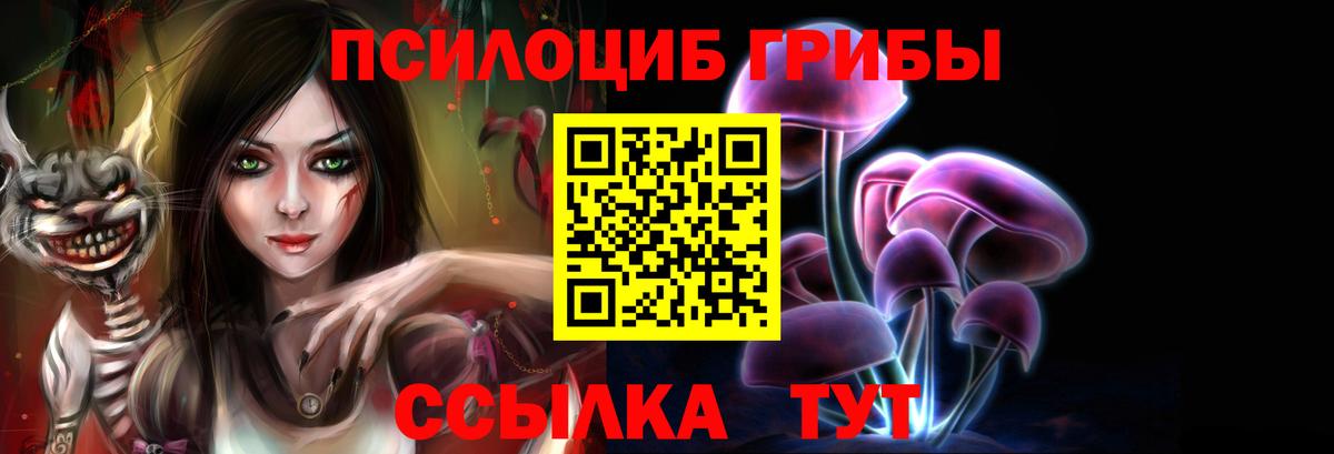 Одинцово  Галлюциногенные грибы Magic Shrooms  купить закладку  Вход с VPN 